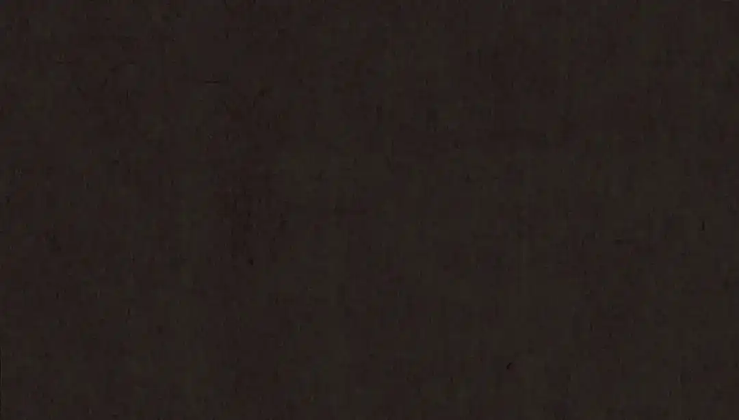 第399页