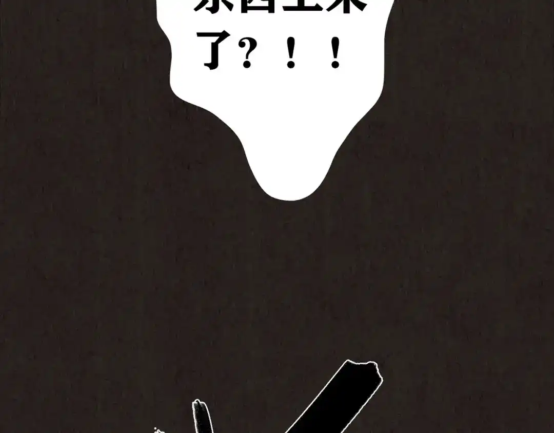 第510页