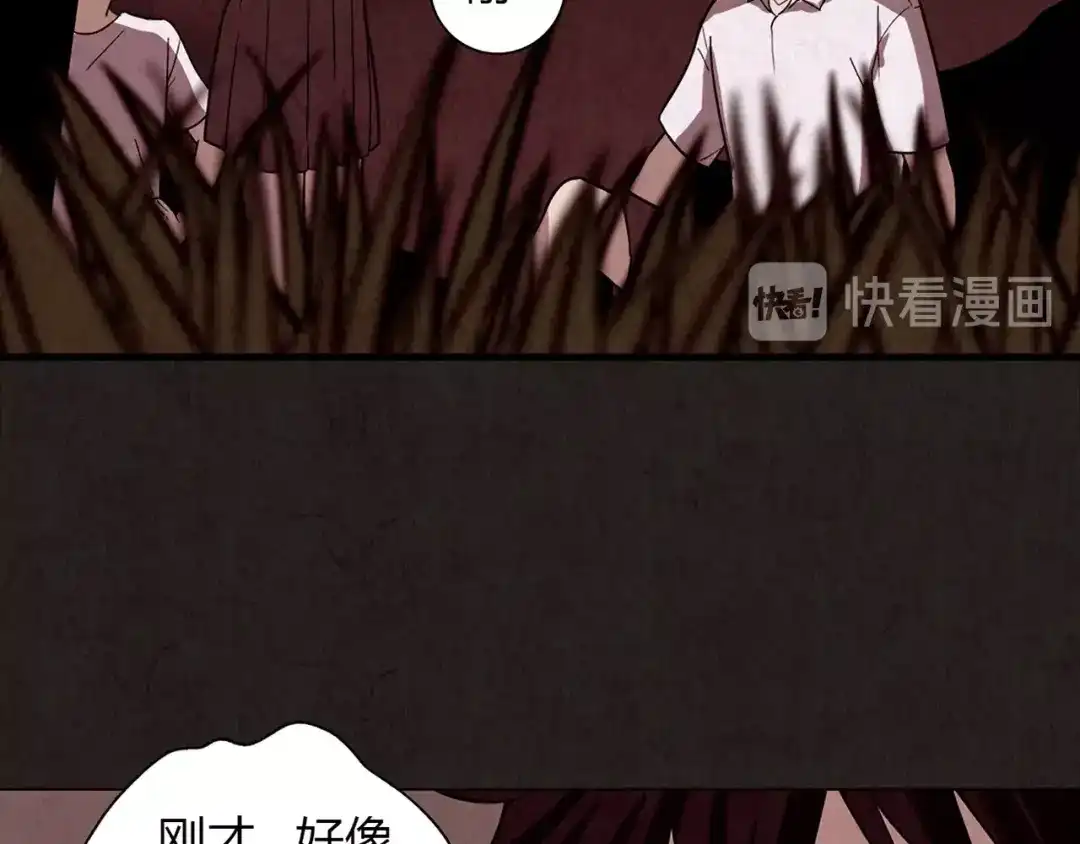 第184页