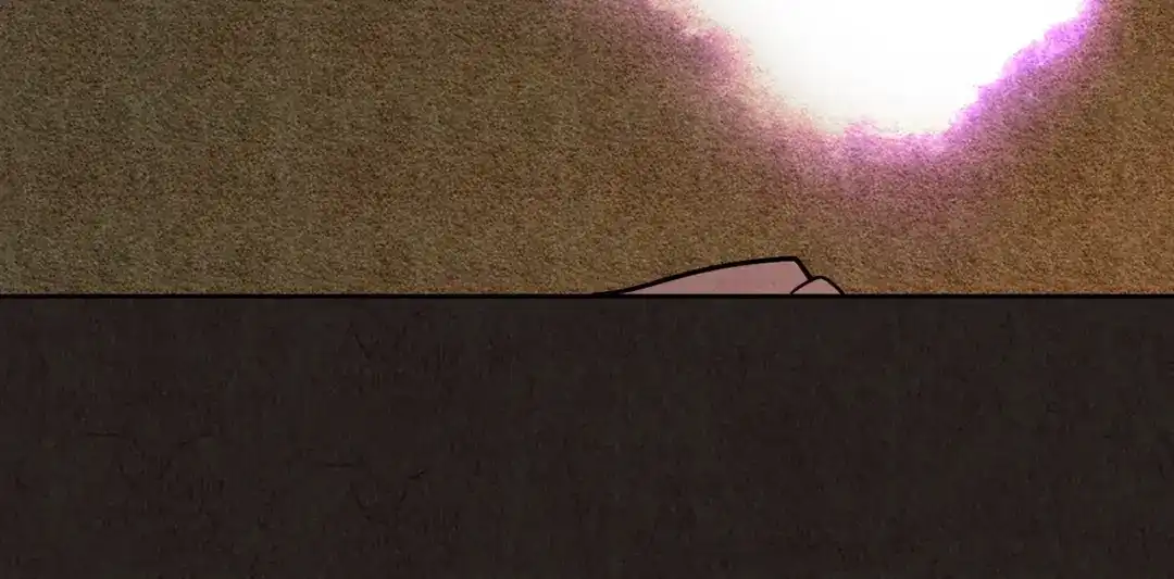 第224页