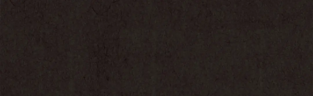 第255页