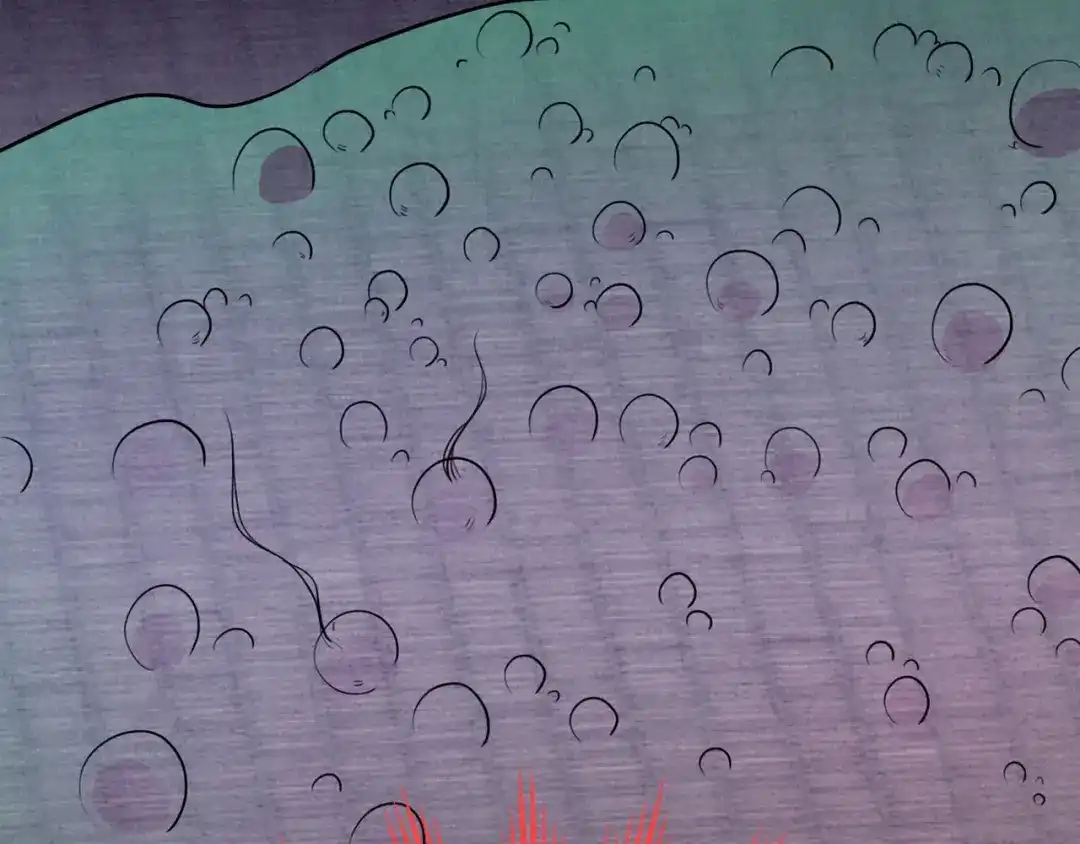 第205页