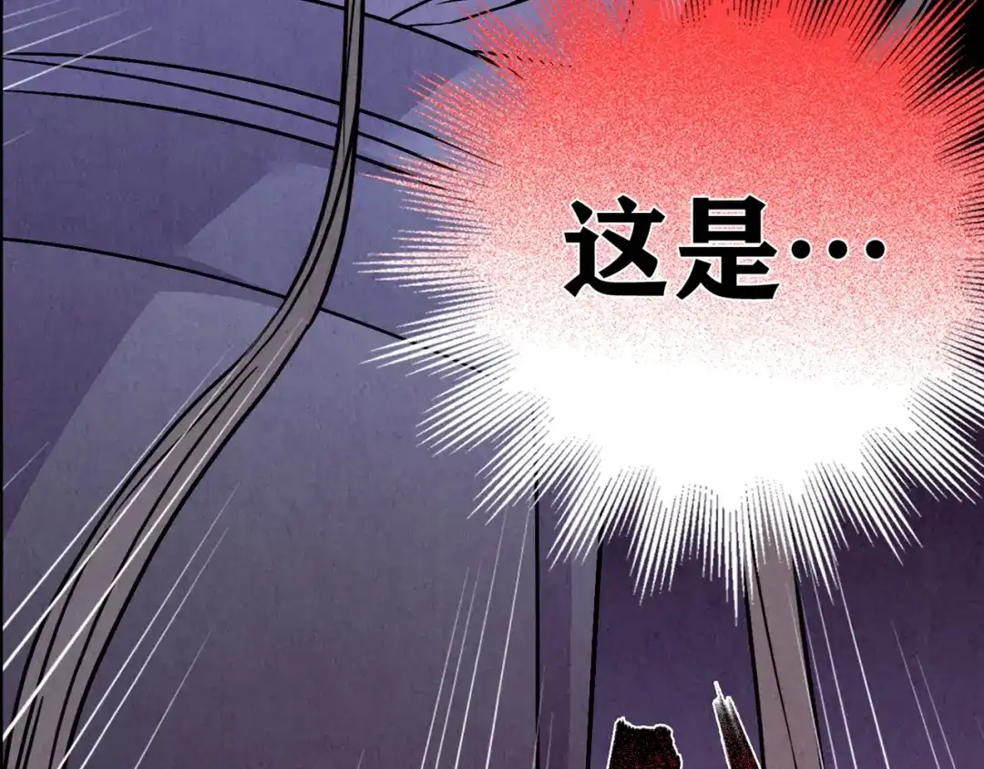 第211页