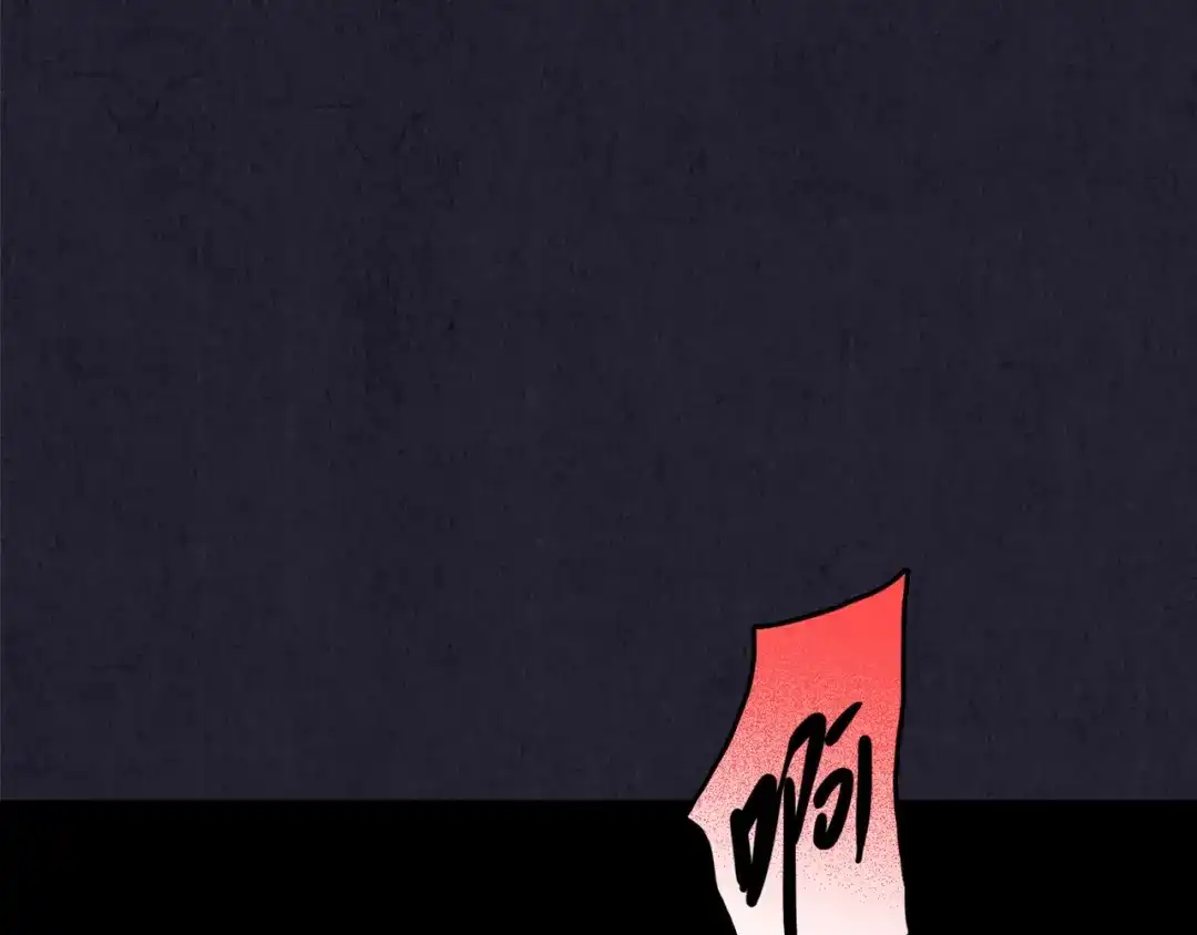 第224页