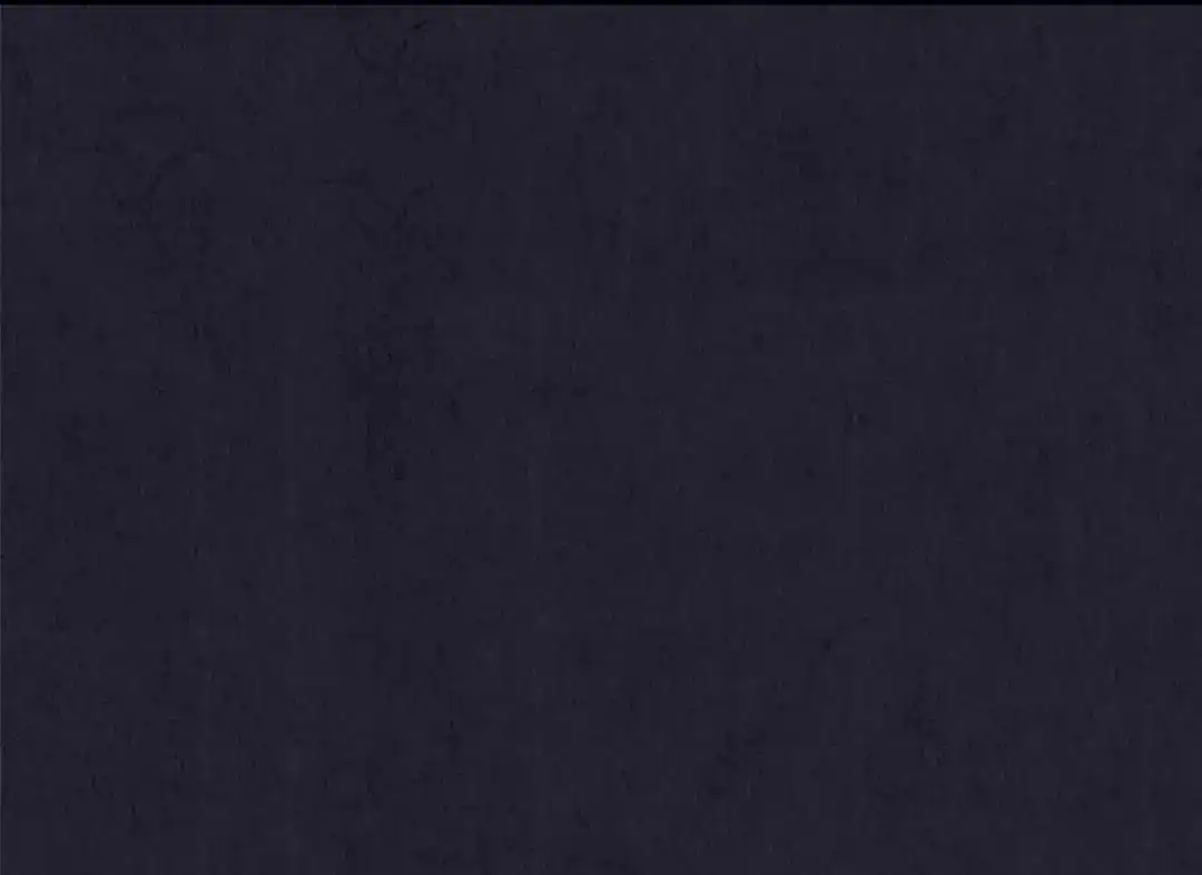 第238页