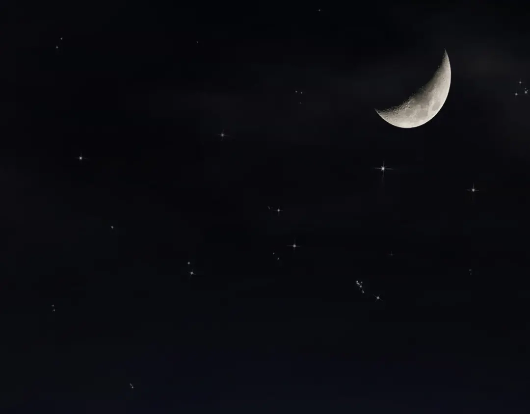 第291页