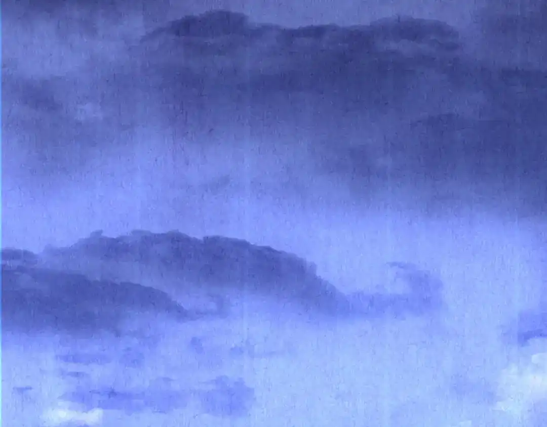 第313页
