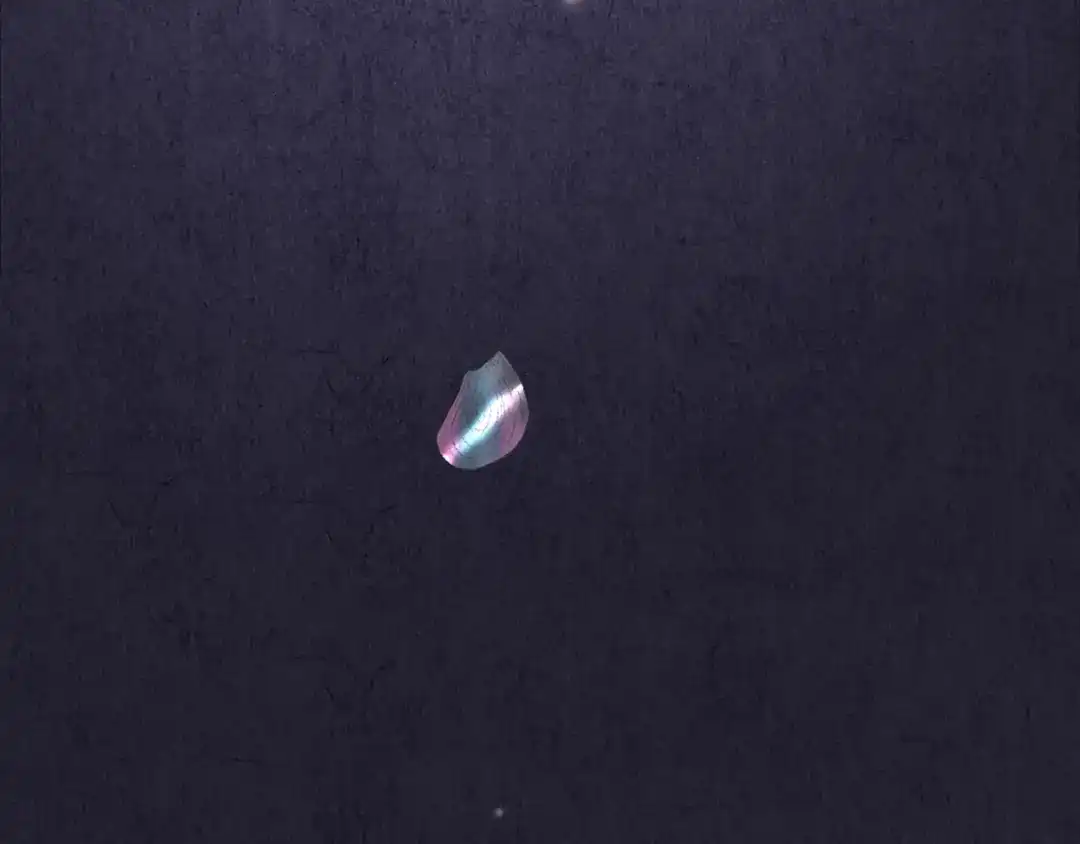 第604页