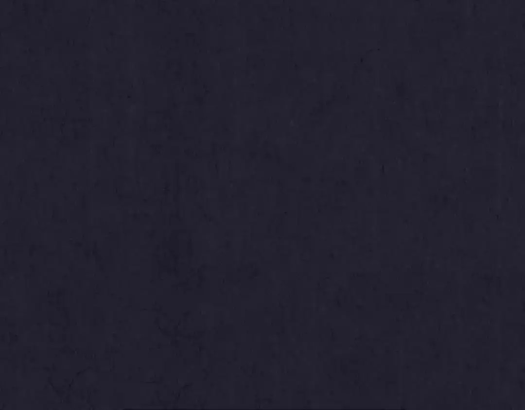 第336页