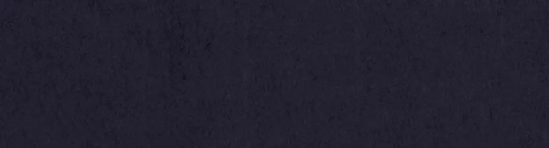 第338页