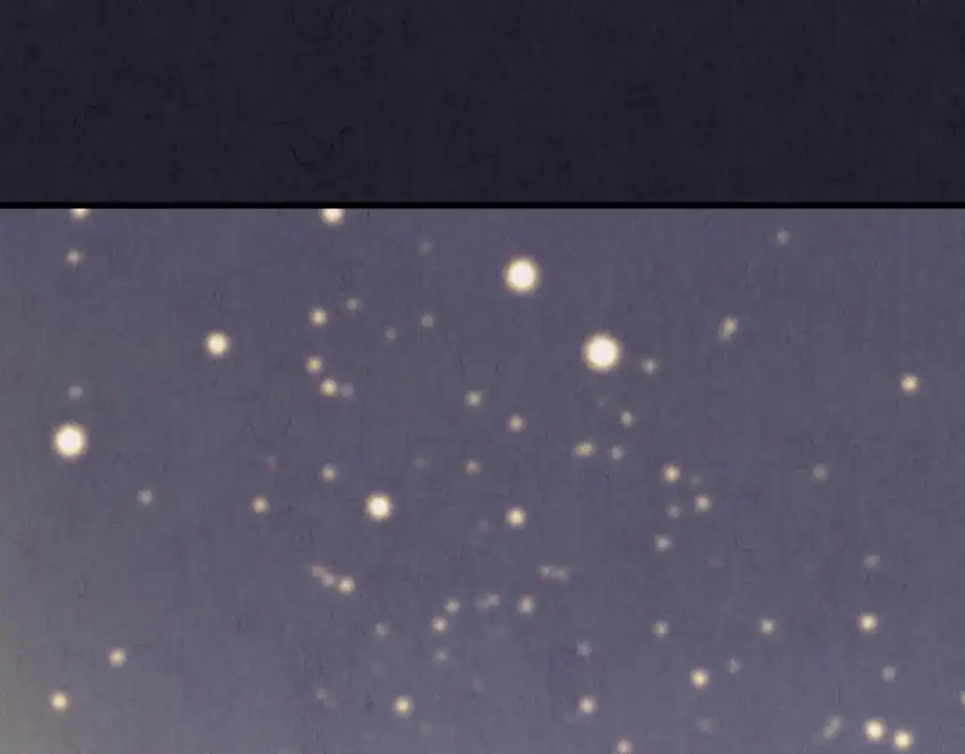 第335页