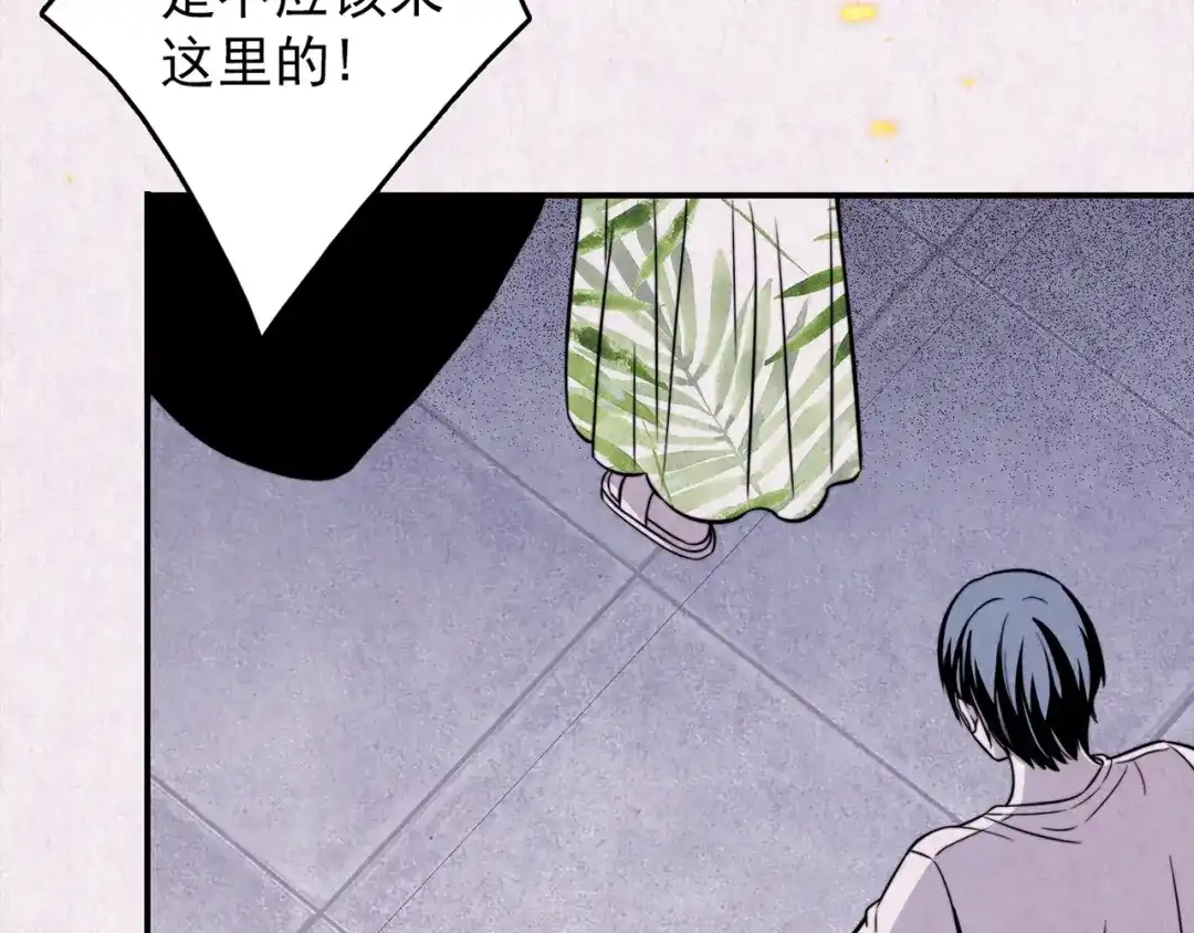 第270页