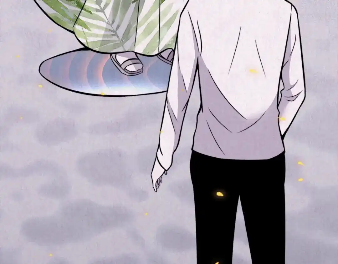 第282页