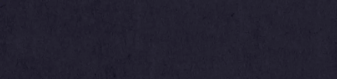 第261页