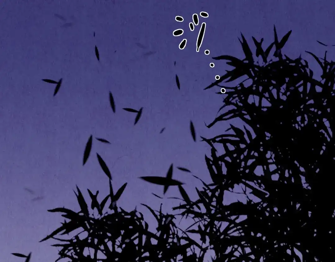 第216页