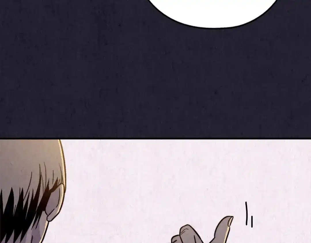 第242页