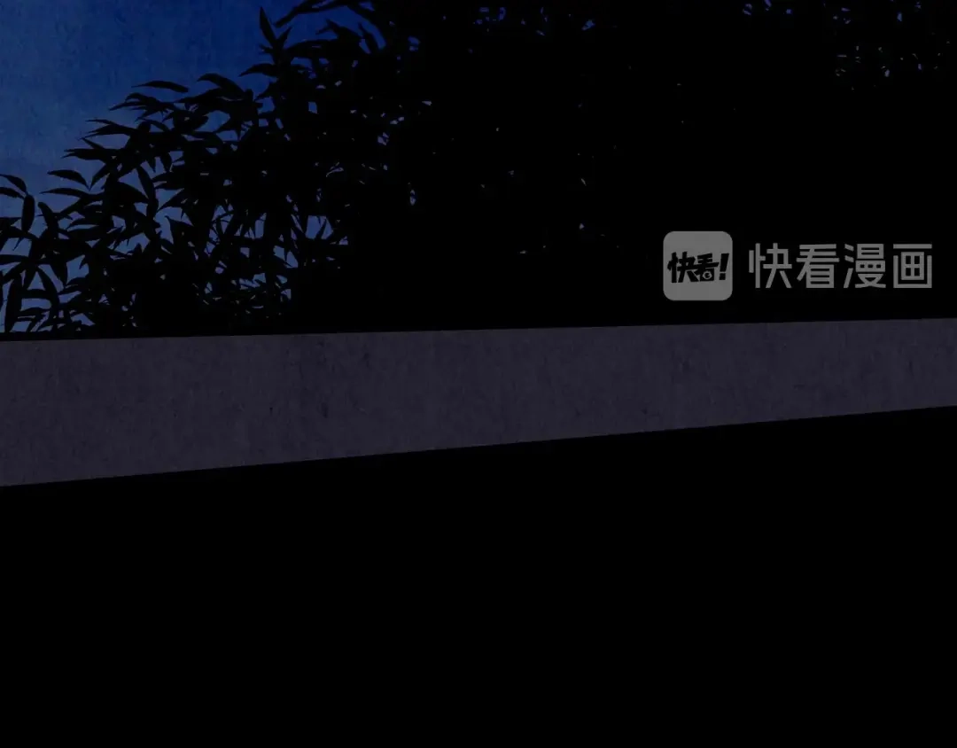 第339页