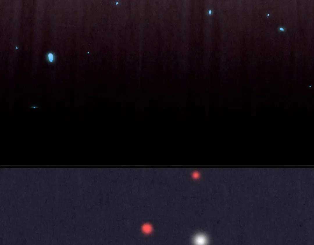 第393页