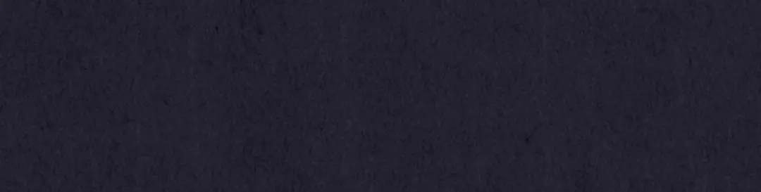 第398页
