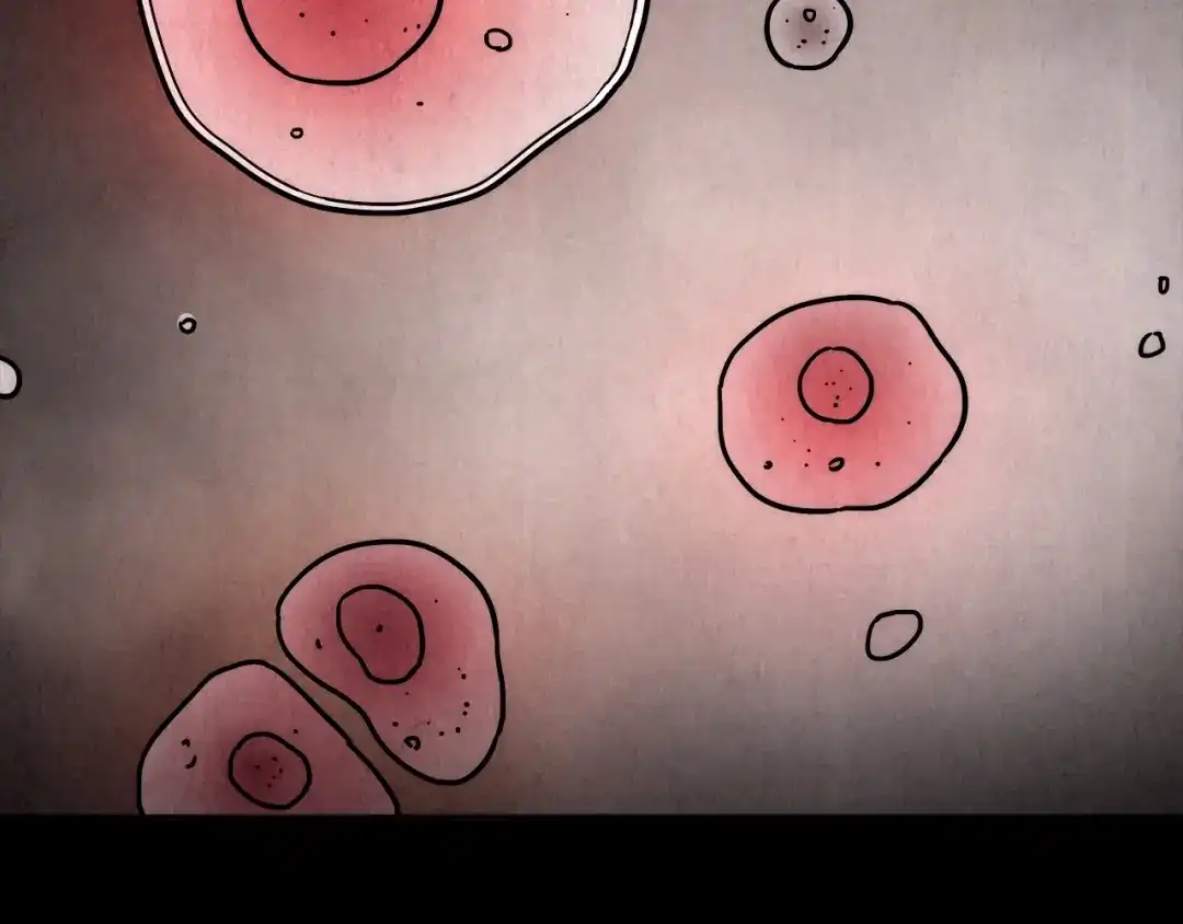 第454页