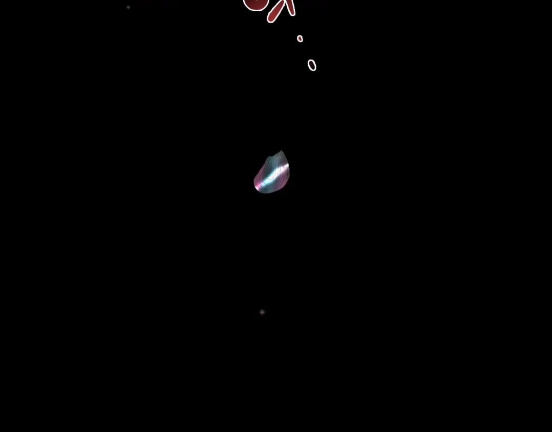第481页