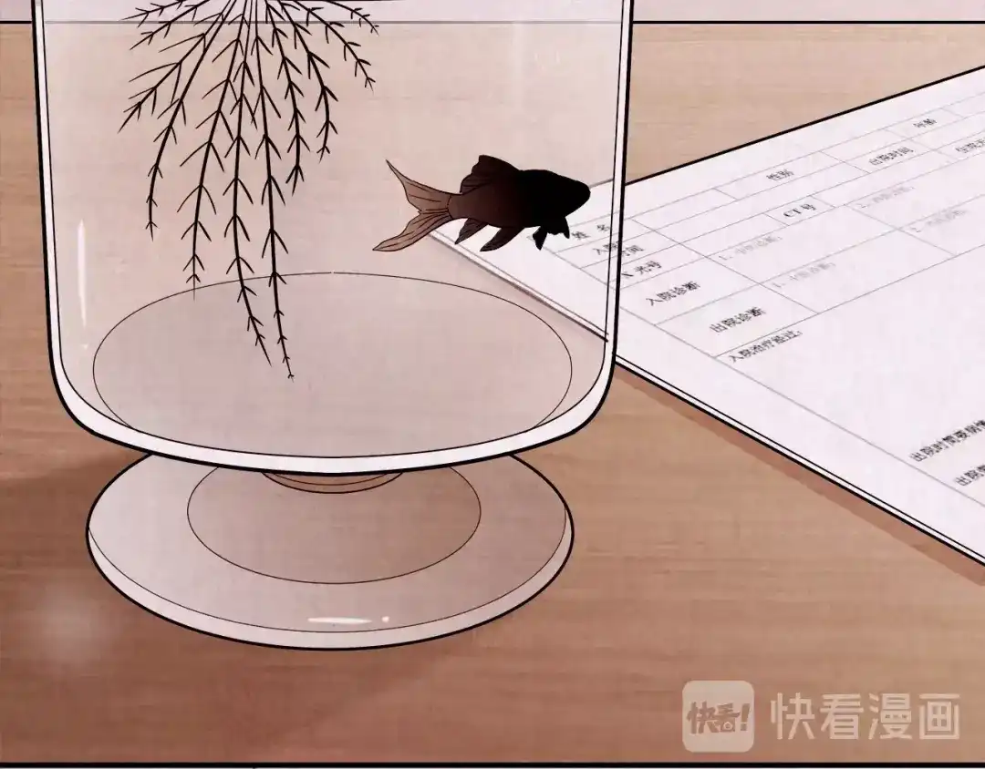 第270页