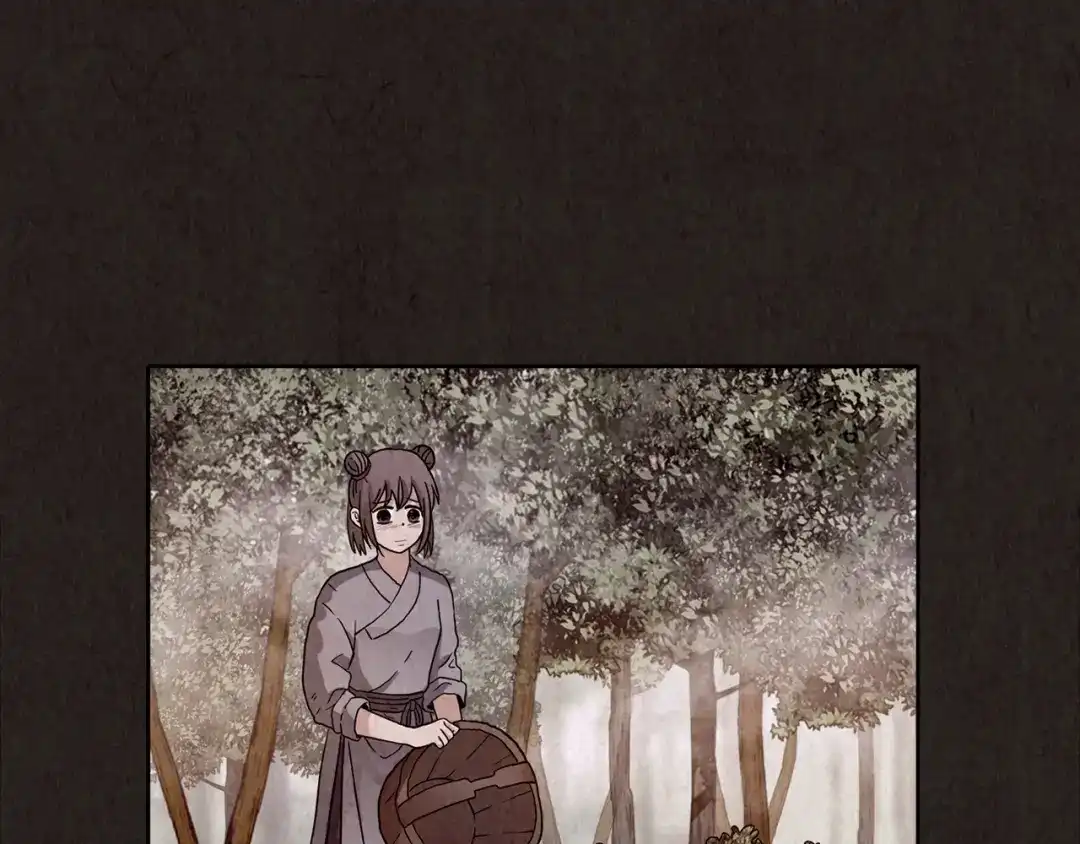 第239页