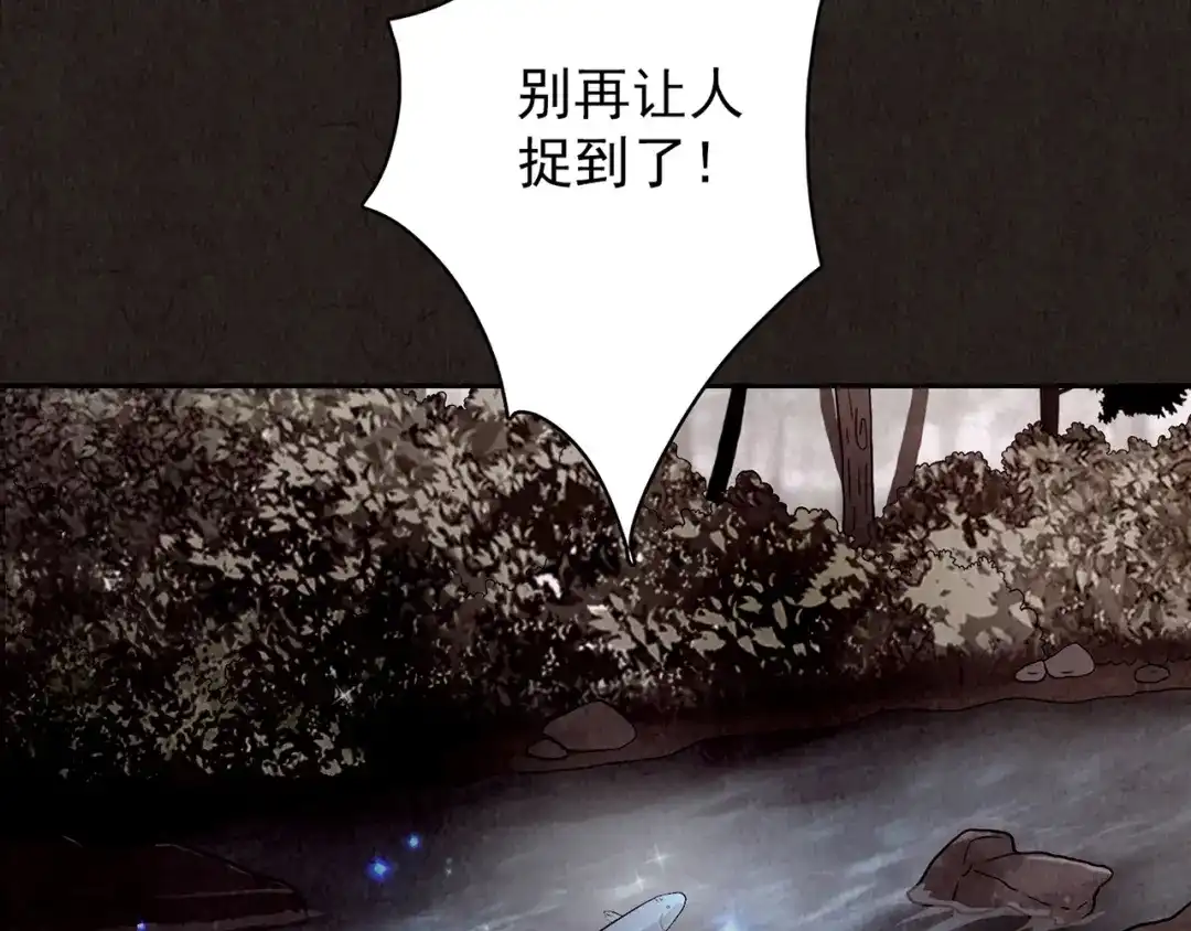 第243页