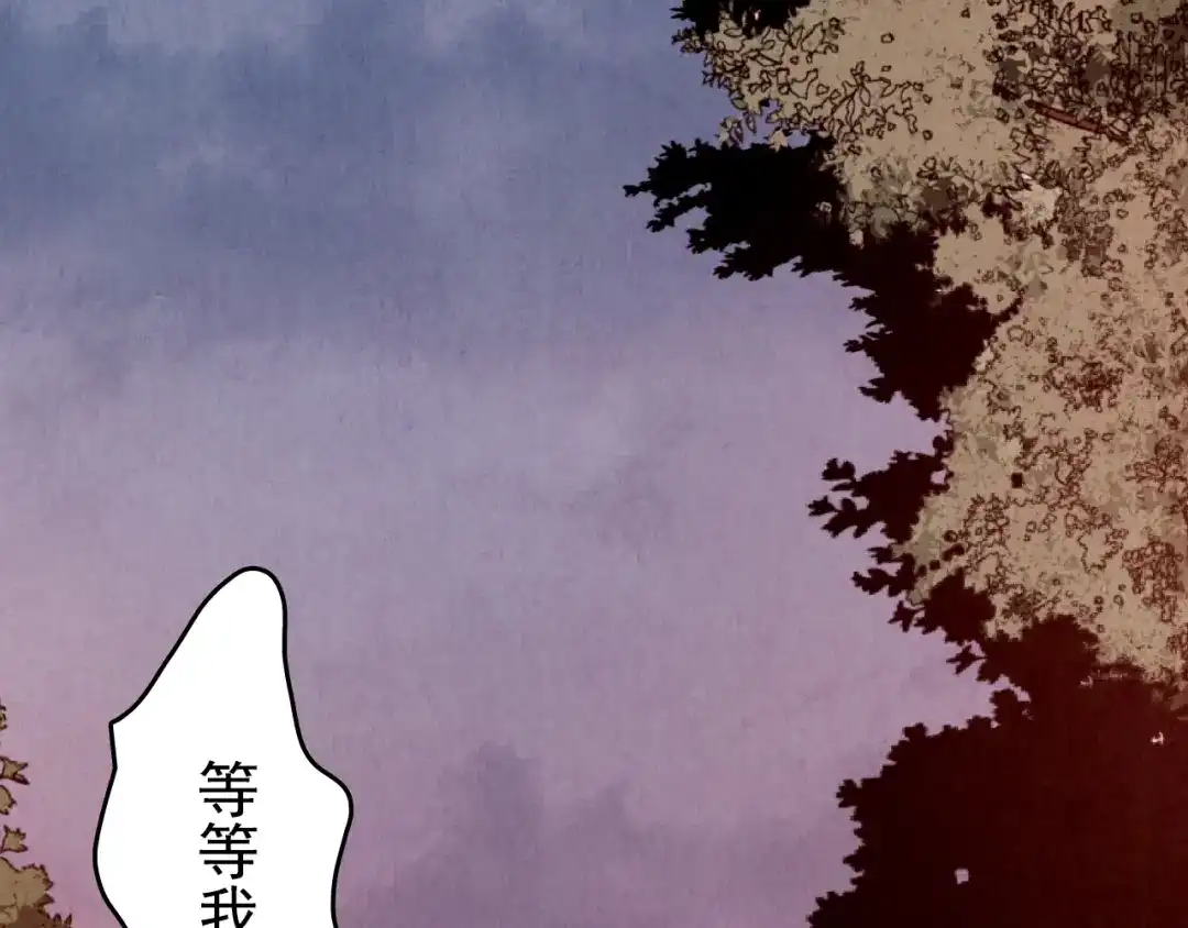 第255页