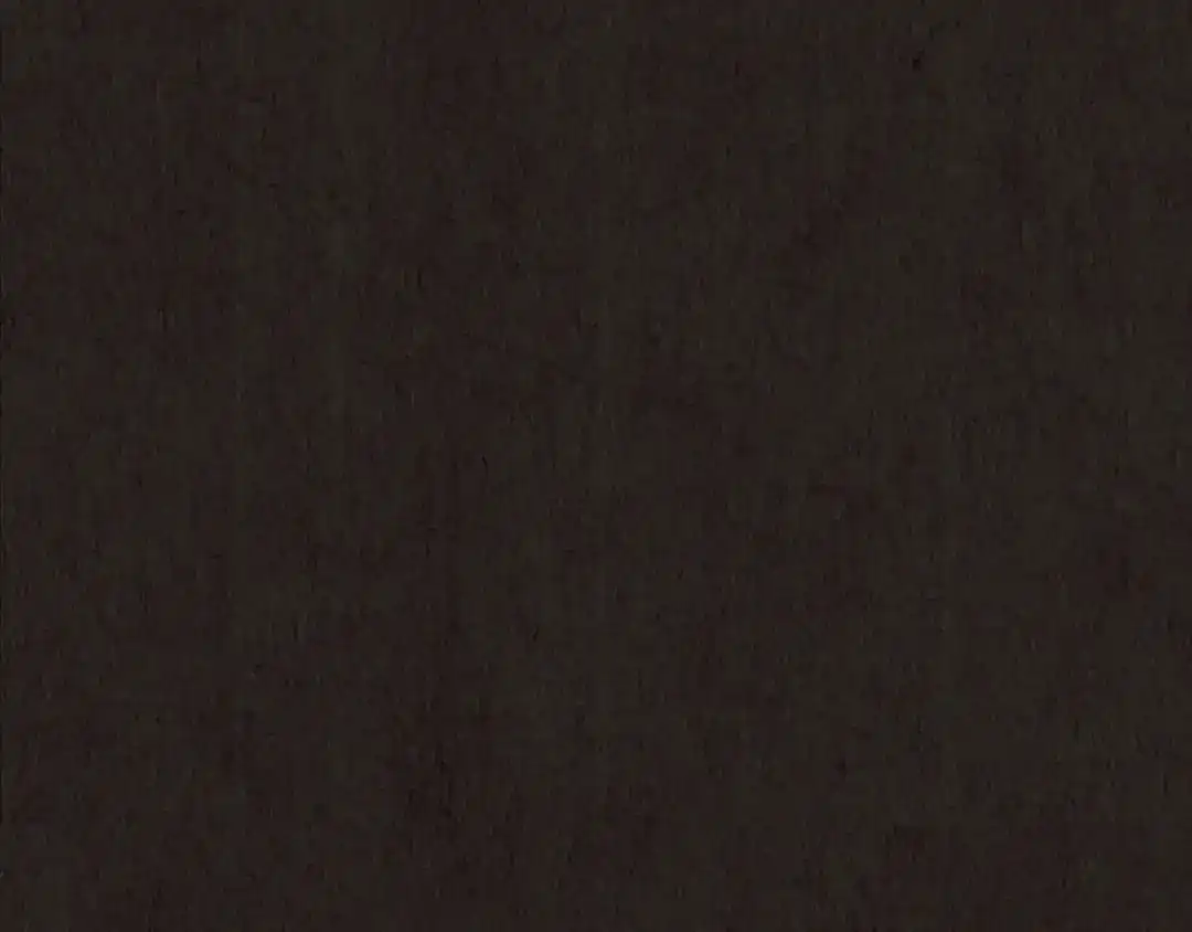 第443页