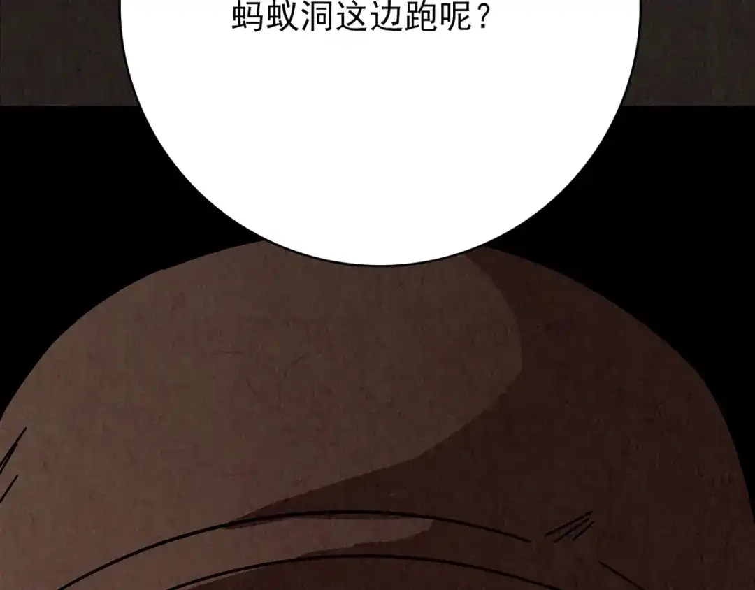 第529页