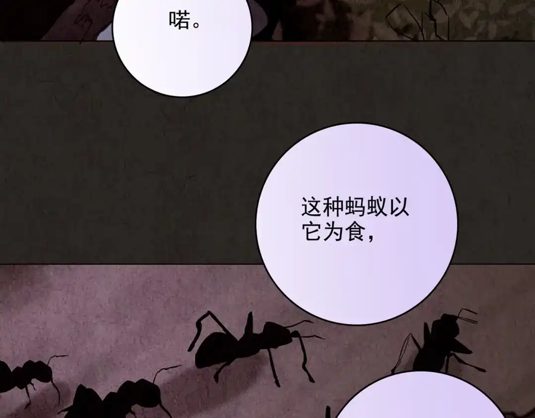 第568页