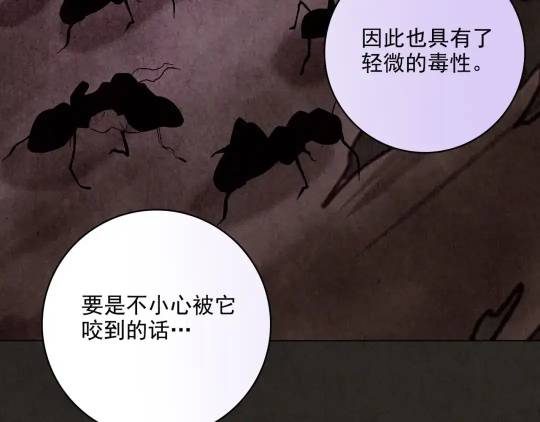 第569页