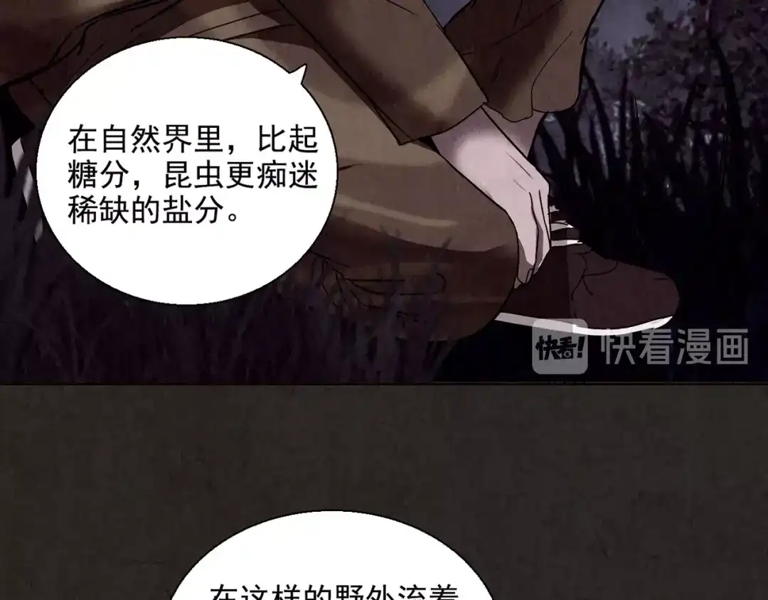 第575页