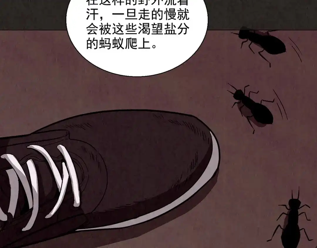 第576页
