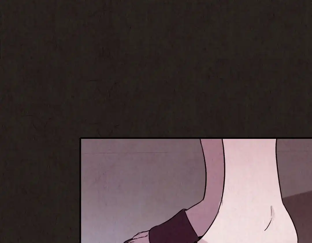 第234页