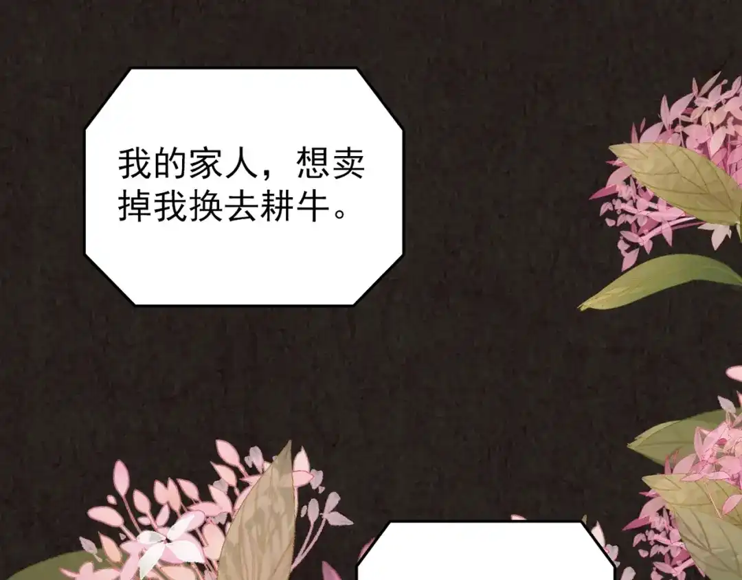 第202页