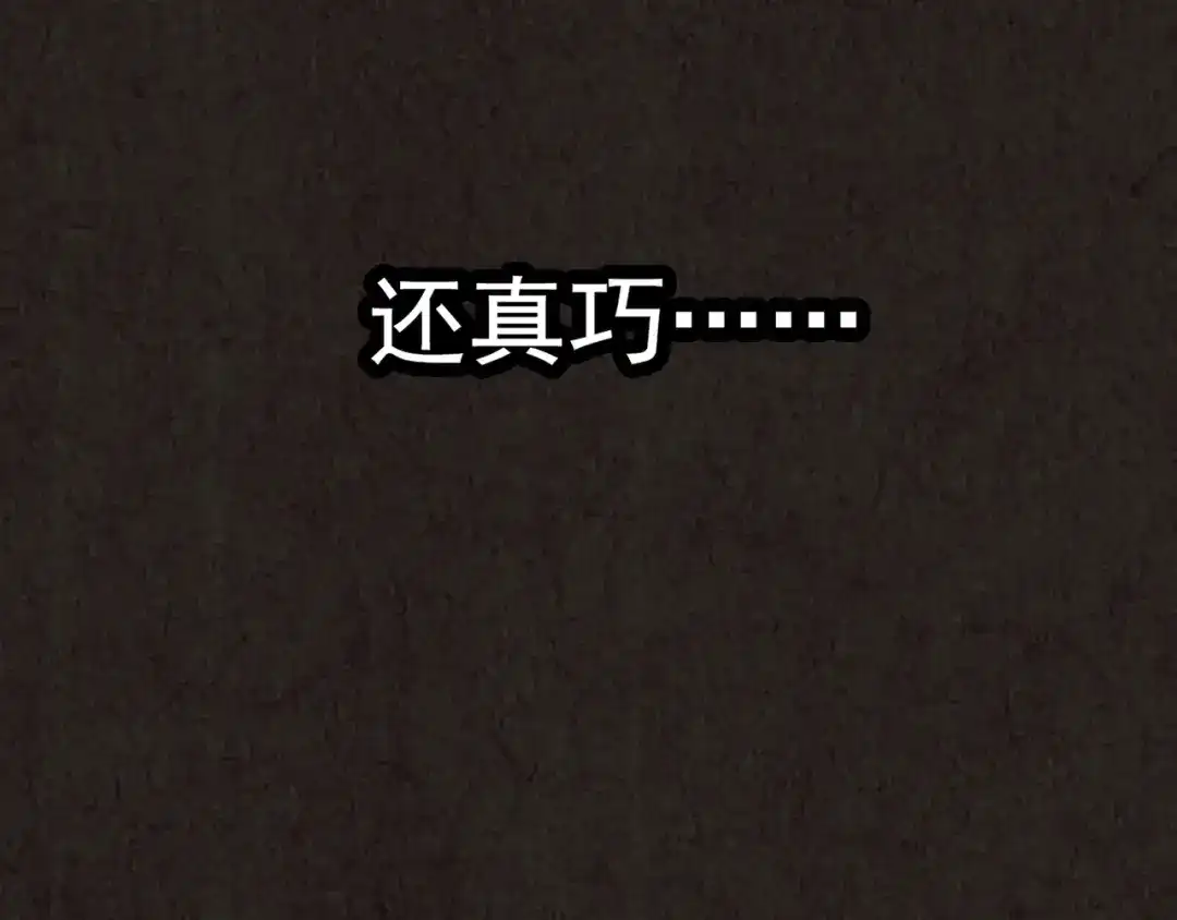 第224页