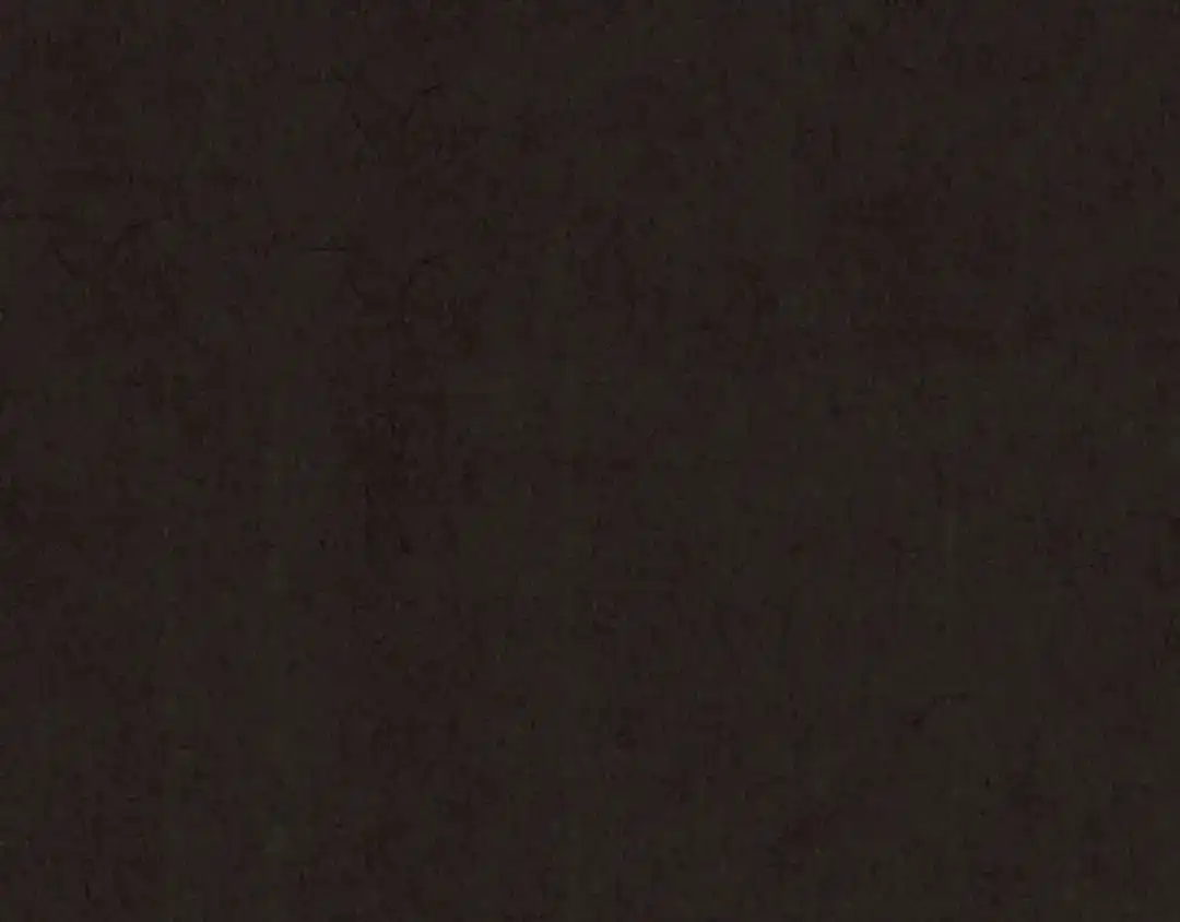 第251页