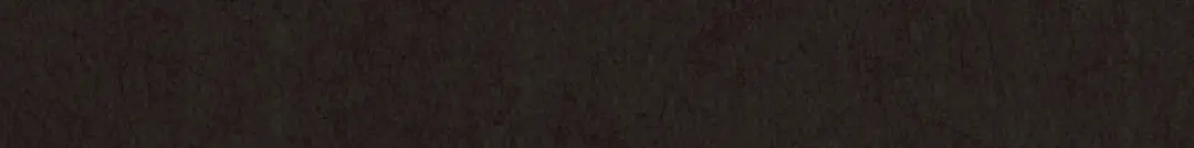 第223页