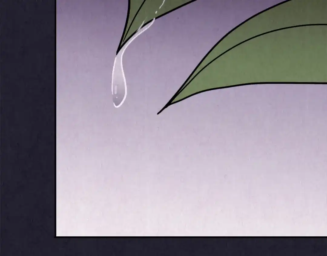 第215页