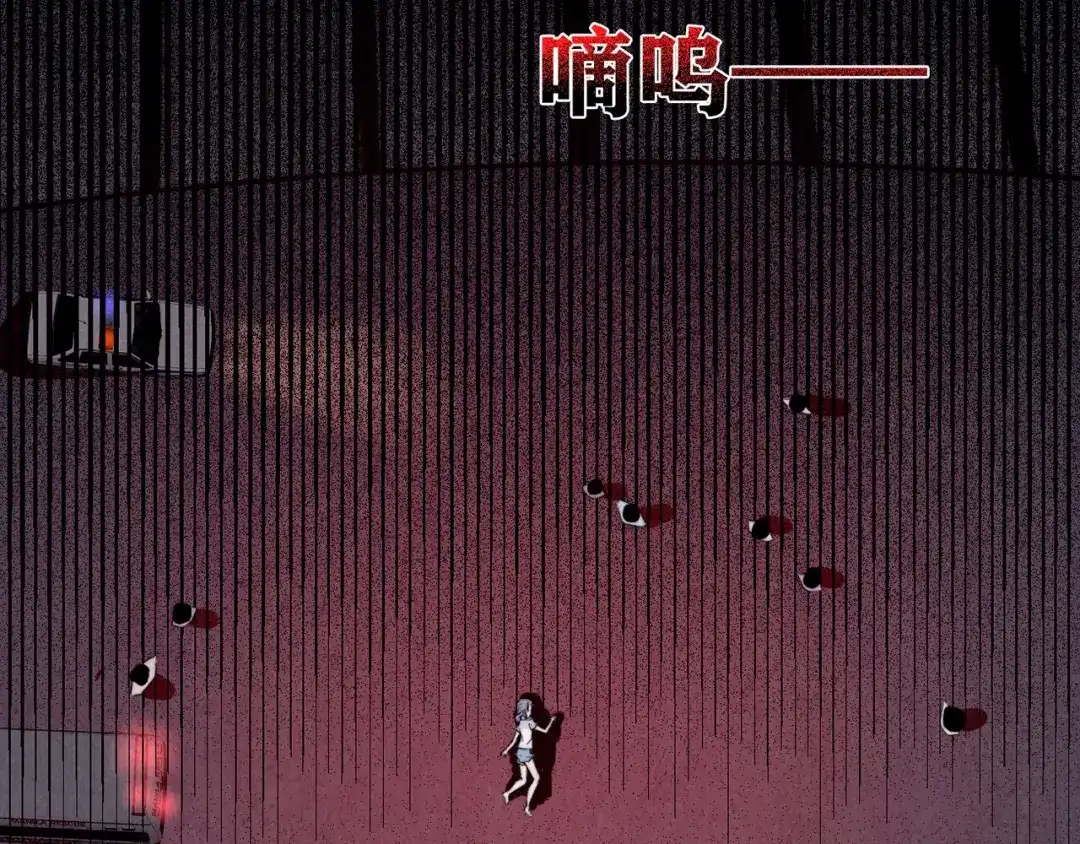 第243页