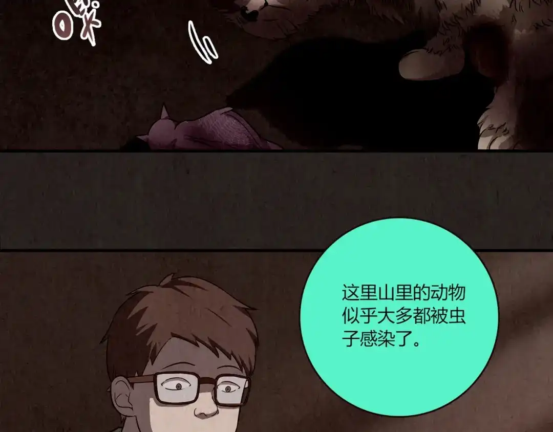 第185页