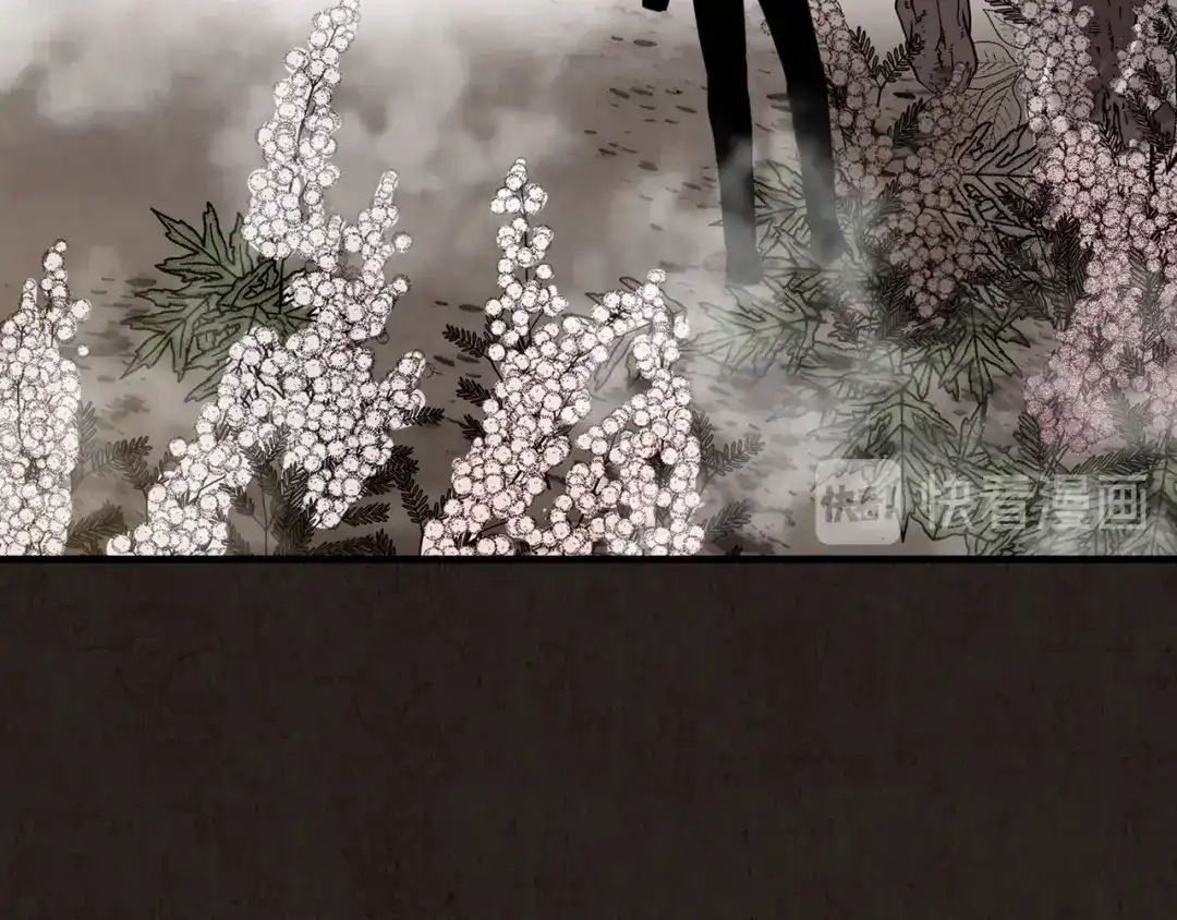 第231页