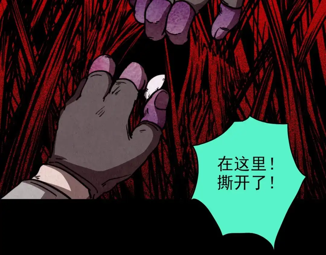 第339页