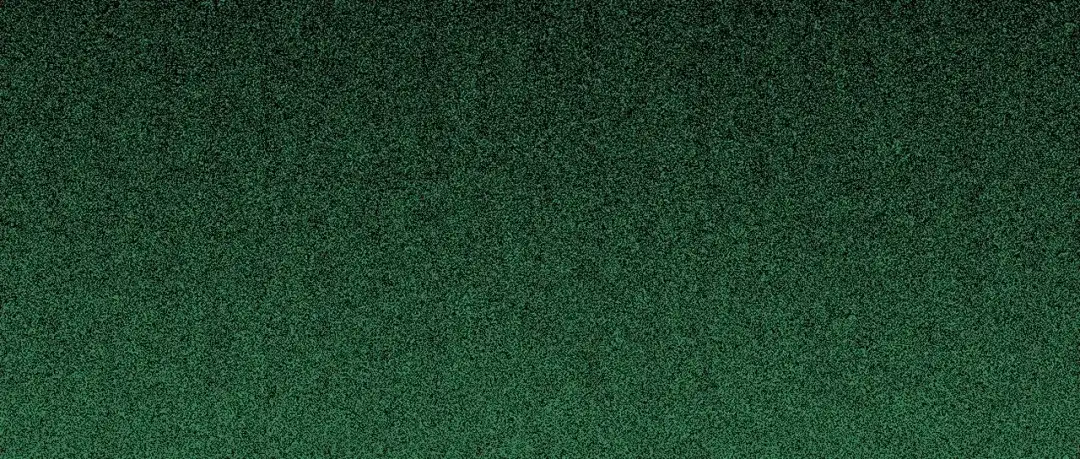 第356页