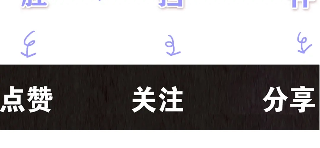 第256页