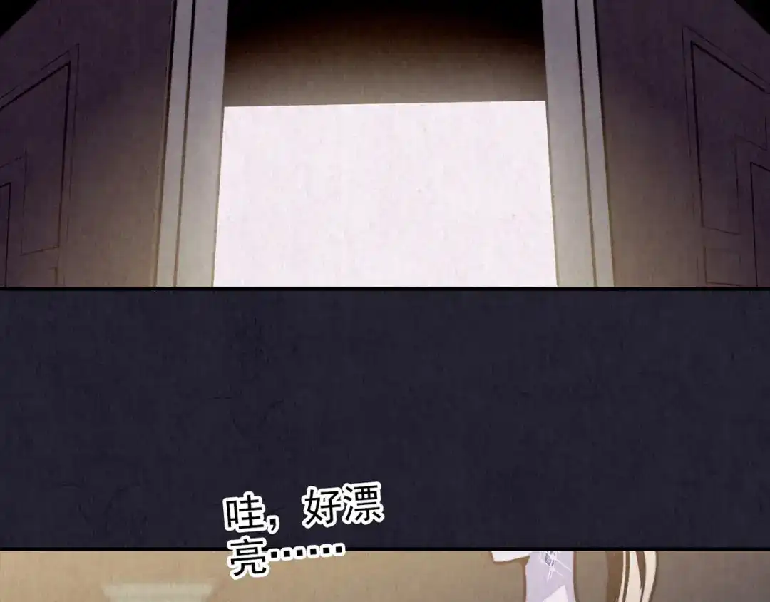 第223页