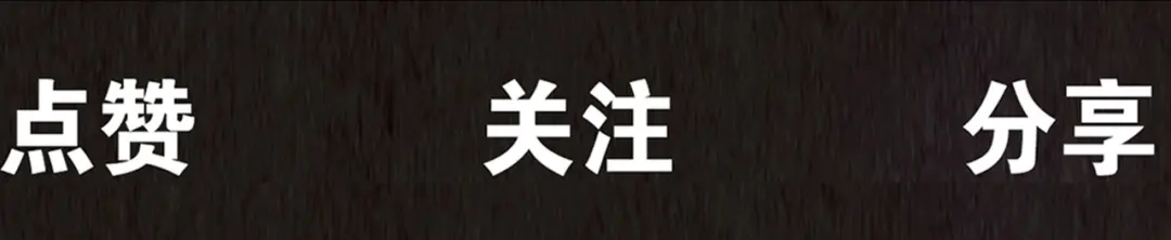 第233页