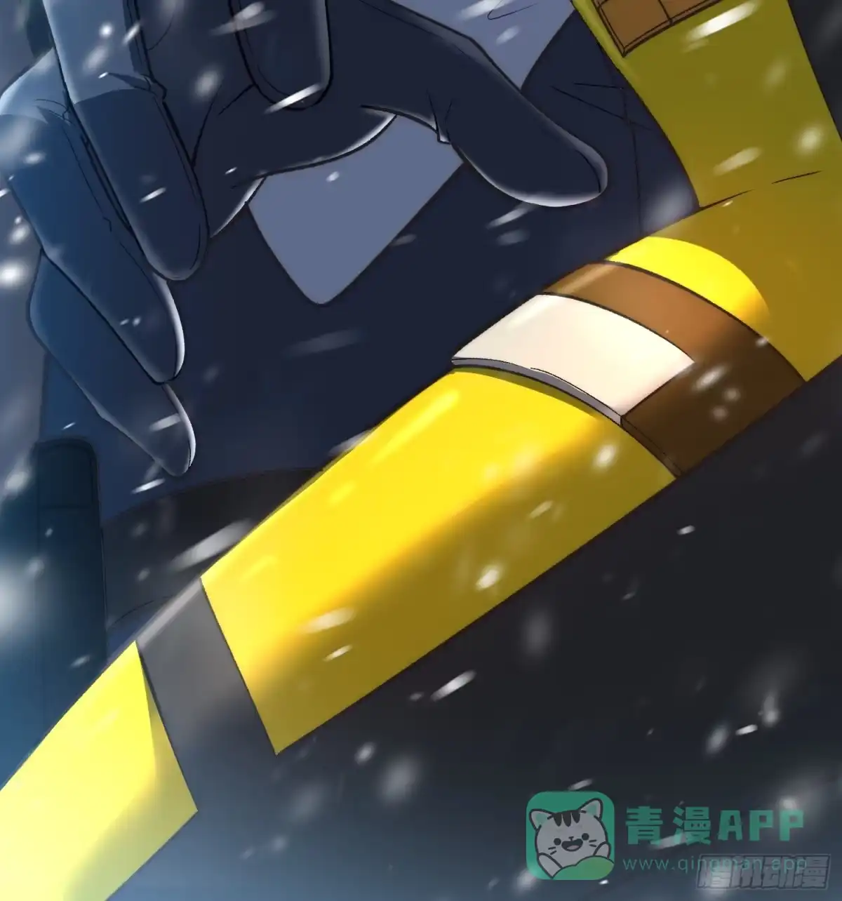 第81页